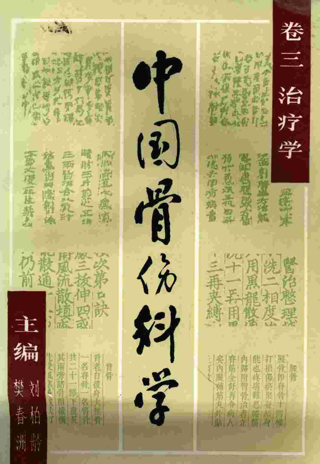 中国骨伤科学  卷3  治疗学